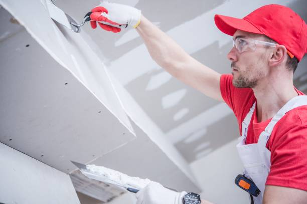 Athens, TN Mold Removal Pros